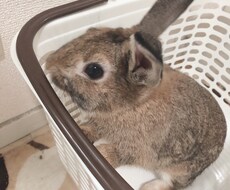 ポジティブになれるような言葉言います イメージ1