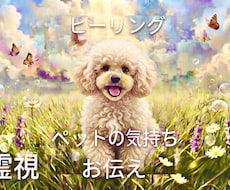 ペットの本当の気持ちを霊視し、ヒーリングします 霊視で心を聞き、バランスを整えヒーリングし和らげます
