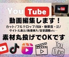 カット、文字入れなどして欲しい編集しますます イメージ1