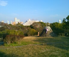 ～☆心の相談所☆～不安な気持ちを話すことで、冷静に見つめ直してみませんか イメージ1