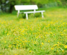 貴方の気になることなんでも占います イメージ1