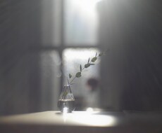 初心者向け_カメラを始めたい方のご相談に乗ります 「何となくカメラを始めたい！」というレベル感でもご相談OK！