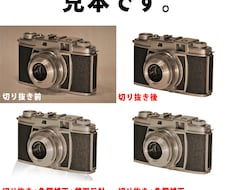 商品登録用画像の切り抜き・修正などやります Photoshop使用経験4年目の私が技術向上のために出品