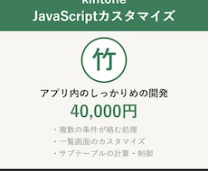 竹：kintoneの本格的なカスタマイズを承ります イメージ1