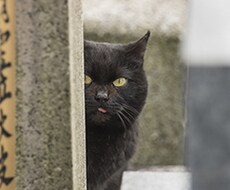初心者向け投資相談します イメージ1