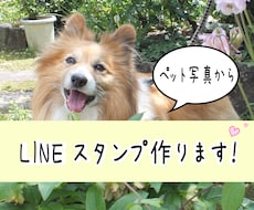 かわいいペットのLINEスタンプ作ります イメージ1