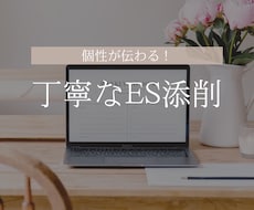 元大学職員・キャリアコンサルタントがES添削します イメージ1