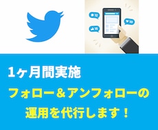 Twitterのフォロー&アンフォローを代行します 1日10~50フォロー、1ヶ月間実施します。