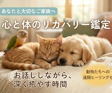 心に寄り添う癒やしの鑑定｜あなたの明日を照らします イメージ1