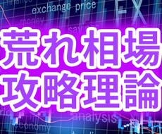 荒れ相場を乗り切るトレード法を教えます 投資歴50年のプロが教えるFXで成功するための理論