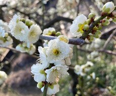 元小学校の先生がお子さまのお悩みの相談にのります イメージ1