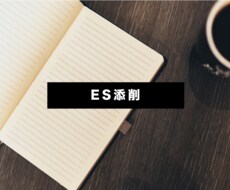 ES【大手広告マン】添削します イメージ1