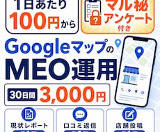 1日100円からGoogleマップMEO運用します イメージ1
