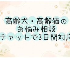 シニア犬・シニア猫の介護相談承ります イメージ1