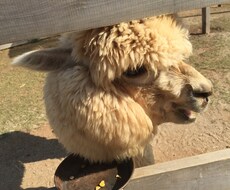 あなたのお話なんでも聞きます。 イメージ1