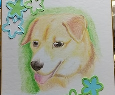 家の子(ペット)を色鉛筆で描きます イメージ1