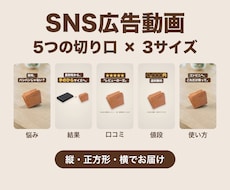 SNS広告動画を5つの切り口×3サイズで作ります イメージ1