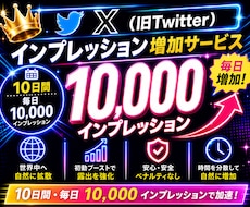 Xインプ◎10日間毎日10000以上増加させます X（旧Twitter）インプレッション10日間！振分け可能〇