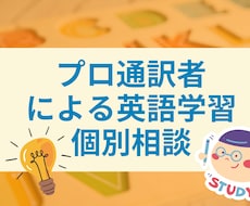 プロ通訳者による英語学習個別相談を行います