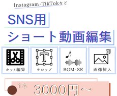 SNS用ショート動画を編集します イメージ1
