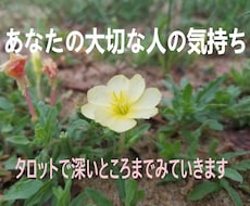 個人情報は聞きません。相手の気持ちをお伝えします お名前不要。過去・現在・未来・アドバイスをタロットで探れます