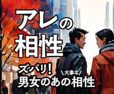 男女のアレの相性を鑑定します イメージ1