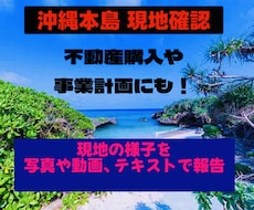 沖縄本島で現地確認いたします イメージ1