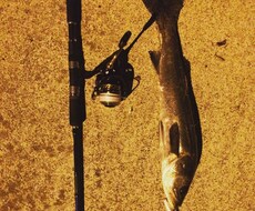 ルアー釣りでお困りの事相談のります イメージ1