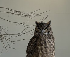 いくらでも愚痴聞きます イメージ1