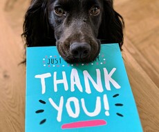 現役獣医師が犬猫のご相談何でものります イメージ1
