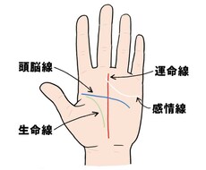 AIで恋愛占いをします イメージ1