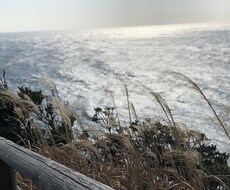 写真素材提供します イメージ1