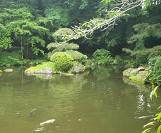 メルカリの相談聞きます イメージ1