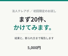 初回限定｜法人テレアポ20件を架電します 現役で架電している営業が、結果と断られ方まで報告します