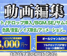 YouTube/SNS等動画編集承ります イメージ1