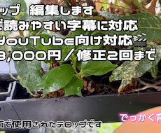 字幕のみ対応します。ご希望にあわせて編集します イメージ1