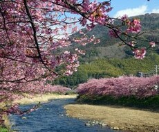愚痴や悩み相談を聞きます イメージ1