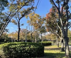 風景、花の画像提供します イメージ1