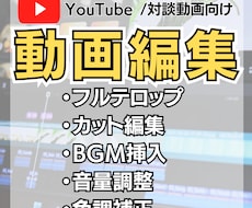 Youtube対談動画 等編集をします イメージ1