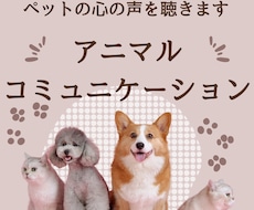 アニマルコミュニケーションで動物さんと会話します ペットに伝えたいこと・聞きたいことを代わりに会話致します！