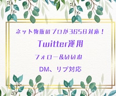 即日着手！10日間Twitter運用代行します 販売のプロが手作業で対応します！フォロワー稼ぎ、集客効果！