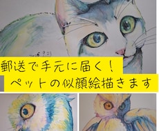 10名様限定！ペット似顔絵が3000円引になります イメージ1