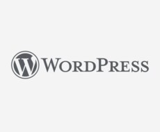 WordPressサイト修正・カスタマイズ致します イメージ1