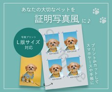 ペットの画像を証明写真風に加工いたします イメージ1