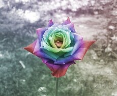 創作のお題考えます イメージ1