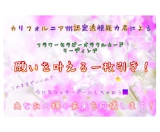 お悩みの方に！願いを叶える一枚引きします あなたの心と未来に光を当てるお花のメッセージをお伝えします