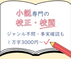 打倒、凡ミス！同人小説・創作小説を校正・校閲します イメージ1