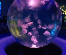うまくいくために何をしたら良い？ハイヤーセルフからのアドバイス♫