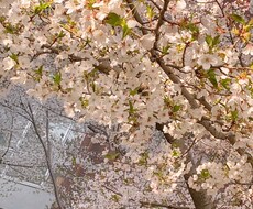 悩んでること相談のります イメージ1
