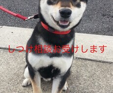 ワンポイントレッスンします イメージ1